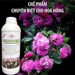 Phân bón hữu cơ đậu tương, đậu nành trứng chuối humic DOCNEEM kích mầm, chồi, hoa chuẩn form trên hoa hồng, cây cảnh, chai 1 lít