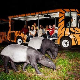 Vé Tham Quan Night Safari Singapore