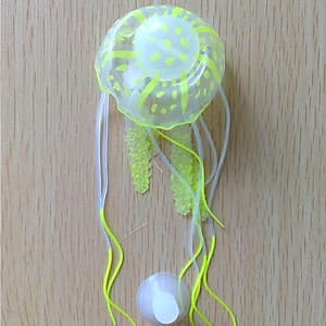 Sứa Giả Phát Quang Trang Trí Bể Cá Cảnh