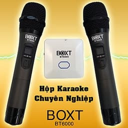 Hộp karaoke đa năng BOXT BT6000