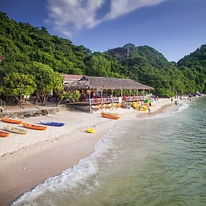 Combo Trọn Gói 2N1Đ Ngủ Đêm Trên Du Thuyền 5 Sao Dynasty Of The Seas Cruises Siêu Hot Tại Vịnh Hạ Long (Miễn Phí Chèo Thuyền Kayak, Câu Mực Đêm...)