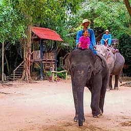 Vé Tham Quan Làng Voi Pattaya, Thái Lan - Một Giờ Trekking Cùng Voi (16:00 - 17:00)