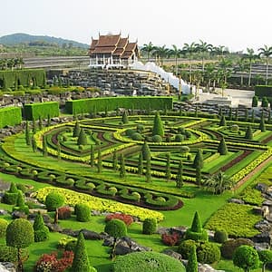 Vé Cổng Tham Quan Vườn Nhiệt Đới Nong Nooch Ở Pattaya, Thái Lan