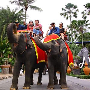 Vé Vào Cổng + Show Văn Hóa Thái + Show Biểu Diễn Voi Tại Vườn Nhiệt Đới Nong Nooch Ở Pattaya, Thái Lan