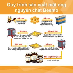 Mật ong nguyên chất hoa cà phê Beemo 35g