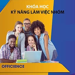 VietGrow Edu - Khóa Học Kỹ Năng Làm Việc Nhóm Hiệu Quả [E-learning]