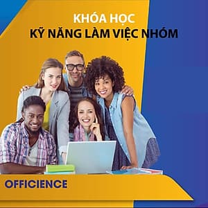 VietGrow Edu - Khóa Học Kỹ Năng Làm Việc Nhóm Hiệu Quả [E-learning]