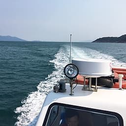 Tour lặn ngắm san hô Sơn Trà có ăn đón bãi Rạng