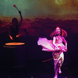 Vé Sun & Moon Show Seoul, Hàn Quốc (Hạng V)