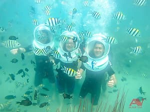 NHA TRANG - Tour đi bộ dưới đáy biển 1 ngày, có ăn trưa