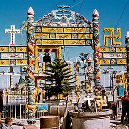 Tour Cao Cấp: Mỹ Tho - Bến Tre 1 Ngày, Cơm Phần Đặc Sản, Khởi Hành Hàng Ngày