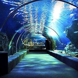 Combo Vé Bảo Tàng Sáp Madame Tussauds Bangkok Và Vé Thủy Cung Sea Life Bangkok