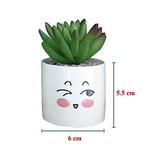 Bộ 4 chậu sen đá nhân tạo mini họa tiết hoạt hình đáng yêu