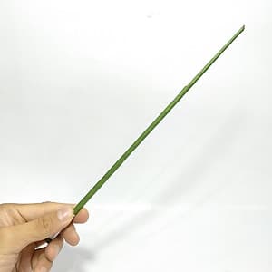 Kẽm Cành