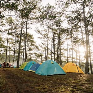 [Tour Tết 2021] 2N3Đ Sài Gòn - Trekking Núi Bidoup - Sông Đa Nhim - Lâm Đồng - Chinh Phục Đỉnh 2287m, Xe Giường Nằm, Khởi Hành Tối Mùng 4 Tết