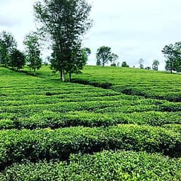 Tour Mù Cang Chải - Sapa - Ngọc Chiến 3N2Đ, Khởi Hành Thứ 6 Hàng Tuần & Dịp Lễ