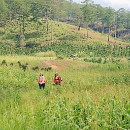 [Tour Tết 2021] 2N3Đ Sài Gòn - Trekking Núi Bidoup - Sông Đa Nhim - Lâm Đồng - Chinh Phục Đỉnh 2287m, Xe Giường Nằm, Khởi Hành Tối Mùng 4 Tết