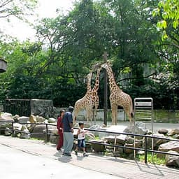 Vé Sở Thú KL Tower Mini Zoo, Kuala Lumpur