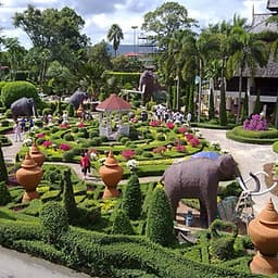 Vé Cổng Tham Quan Vườn Nhiệt Đới Nong Nooch Ở Pattaya, Thái Lan
