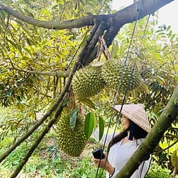 Tour Du lịch Sài Gòn - Mỹ Tho - Bến Tre - Cần Thơ - 2 Ngày 1 Đêm - Khám phá Miệt vườn sông nước