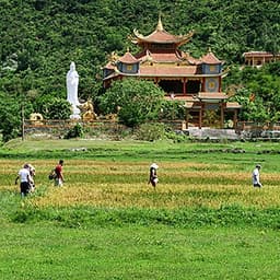 Tour Cù Lao Chàm 01 Ngày, Đón Từ Đà Nẵng, Gồm Lặn Ngắm San Hô & Bữa Trưa Hải Sản
