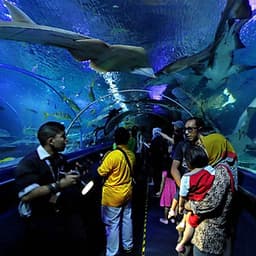 Vé Tham Quan Thủy Cung KLCC Ở Malaysia