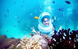 NHA TRANG - Tour đi bộ dưới đáy biển 1 ngày, có ăn trưa