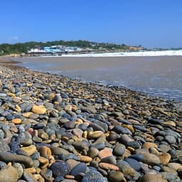 [Tour Tết] Tour tham quan Ninh Chữ - vịnh Vĩnh Hy 3 ngày 2 đêm khởi hành mùng 2 và 3 Tết (13 và 14/2/2020)  tại thành phố Hồ Chí Minh bằng xe du lịch 7-16-29-45 chỗ