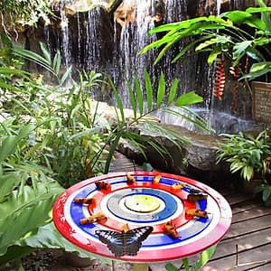 Vé Tham Quan Butterfly Park & Insect Kingdom Singapore