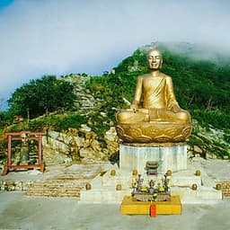 Tour du xuân 2020 - Chùa Ba Vàng - Yên Tử 1 ngày, khởi hành từ Hà Nội