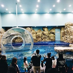 Vé Thủy Cung Hanwha Aqua Planet Ilsan, Hàn Quốc