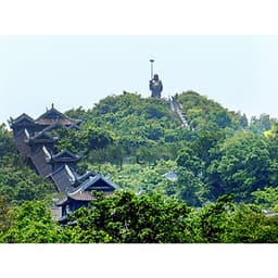 Tour Lễ Hội Bái Đính - Tràng An, khởi hành hàng ngày từ Hà Nội, ăn Buffet trưa 