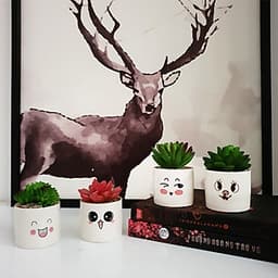 Bộ 4 chậu sen đá nhân tạo mini họa tiết hoạt hình đáng yêu