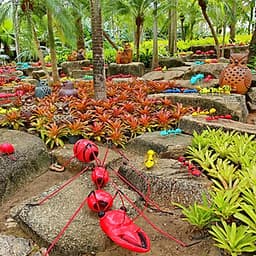 Vé Cổng Tham Quan Vườn Nhiệt Đới Nong Nooch Ở Pattaya, Thái Lan