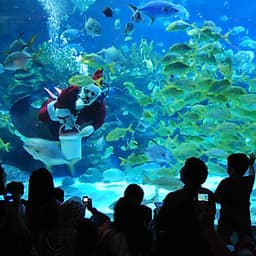 Vé Tham Quan Thủy Cung KLCC Ở Malaysia