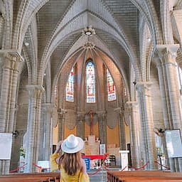 Tour city Nha Trang Nhà Thờ Đá - Chùa Long Sơn - Nhà Yến - Tháp Bà - Tắm Bùn 1 Ngày