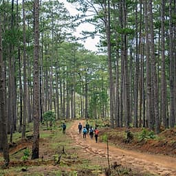 [Tour Tết 2021] 2N3Đ Sài Gòn - Trekking Núi Bidoup - Sông Đa Nhim - Lâm Đồng - Chinh Phục Đỉnh 2287m, Xe Giường Nằm, Khởi Hành Tối Mùng 4 Tết