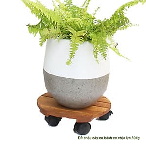 ĐẾ LÓT CHẬU CÂY CHẬU HOA-ĐẾ GỖ LÓT CHẬU-ĐẾ LÓT CHẬU CÂY CÓ BÁNH XE-ĐẾ LÓT CHẬU HÀNG CHỊU LỰC 80kg
