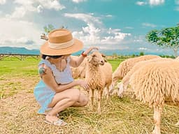 Combo Tour Đảo Yến Đông Tằm và Tour Hang Rái Vườn Nho Đồng Cừu