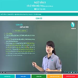 Khóa học NGỮ VĂN 9 cô Diệu Thu - 03 tháng