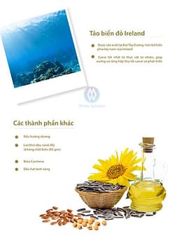 Sữa hạt siêu dưỡng Dr OatCare