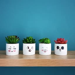 Bộ 4 chậu sen đá nhân tạo mini họa tiết hoạt hình đáng yêu