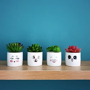 Bộ 4 chậu sen đá nhân tạo mini họa tiết hoạt hình đáng yêu