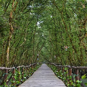 BÀ LỤA TRÀ SƯ 2 NGÀY 2 ĐÊM - KIÊN GIANG