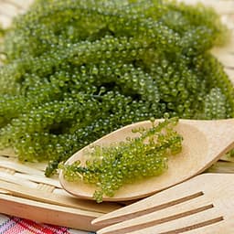 Rong Nho Tách Nước DK HARVEST 100g ( 5 bịch 20g), Tặng Kèm 5 Bịch Sốt Mè Rang Kewpie