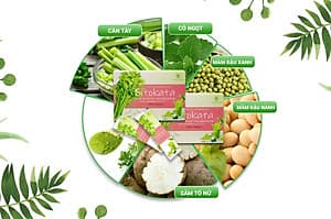 Bột Cần Tây Sitokata Nhật Bản [Tặng Kèm Bình Nước Detox và Cẩm Nang Giảm Cân 7 Ngày]