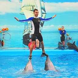 Vé Dolphins Bay Nemo Phuket, Thái Lan - Ghế Thường