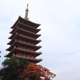 [Tour Tết] Tour du lịch Tây Nguyên- Đắk Lắk-Pleiku - Gia Lai 3 ngày 2 đêm khởi hành mùng 2 Tết (13/2/2021)  tại thành phố Hồ Chí Minh bằng xe du lịch 7-16-29-45 chỗ