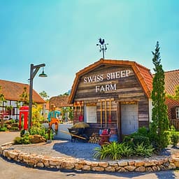 Vé Nông Trại Cừu Swiss Sheep Farm Pattaya