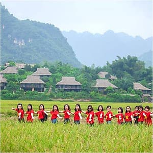 Tour 2N1Đ Mộc Châu - Thác Dải Yếm - Đồi Chè, Khách Sạn 3 Sao, Khởi Hành Thứ 7 Hàng Tuần & Dịp Lễ Tết